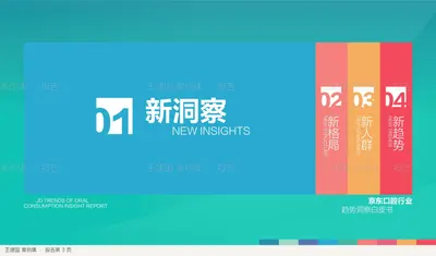 报告第 3 页