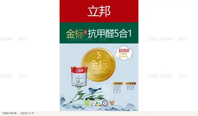 报告第 20 页