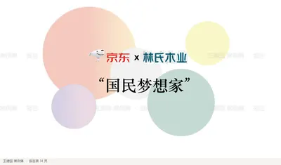 “国民梦想家”