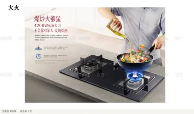 报告第 5 页